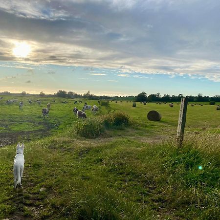 Chambre De Rose - Le Refuge Des Parachutistes - En Bordure Du Marais Neuville-au-Plain Exteriér fotografie