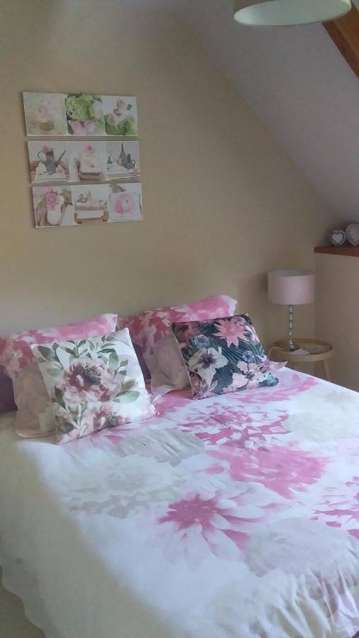 Chambre De Rose - Le Refuge Des Parachutistes - En Bordure Du Marais Neuville-au-Plain Exteriér fotografie