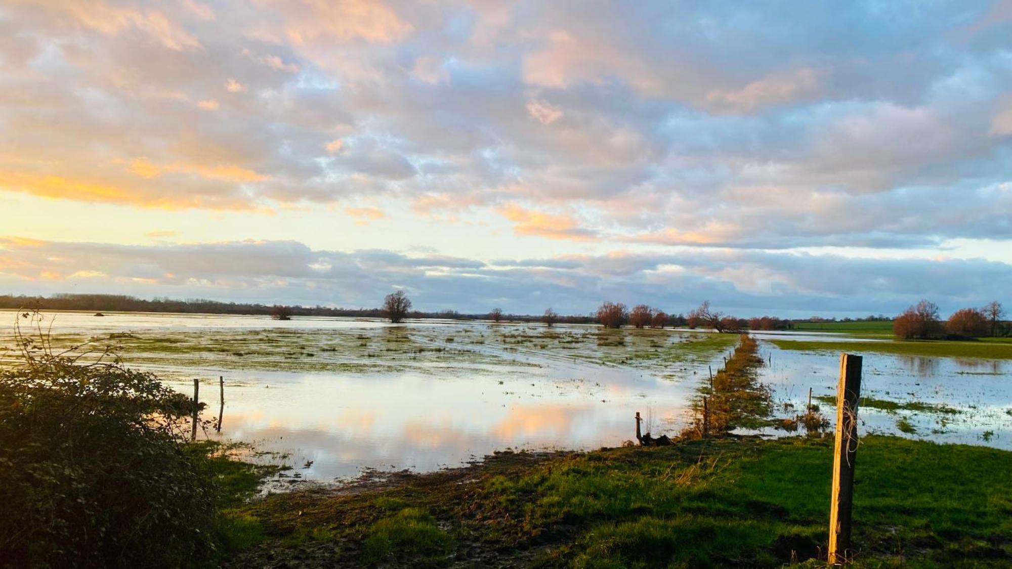 Chambre De Rose - Le Refuge Des Parachutistes - En Bordure Du Marais Neuville-au-Plain Exteriér fotografie