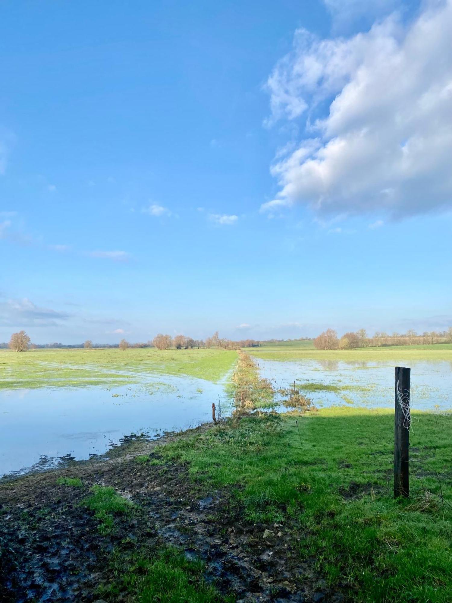 Chambre De Rose - Le Refuge Des Parachutistes - En Bordure Du Marais Neuville-au-Plain Exteriér fotografie